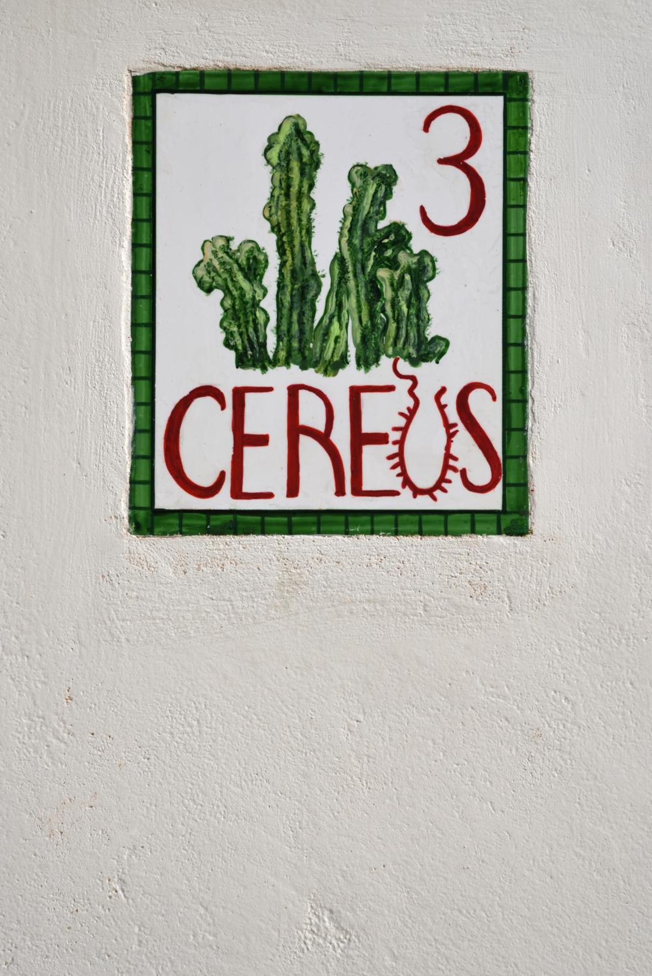 Cactus Hydra - Art Apartments Номер фото